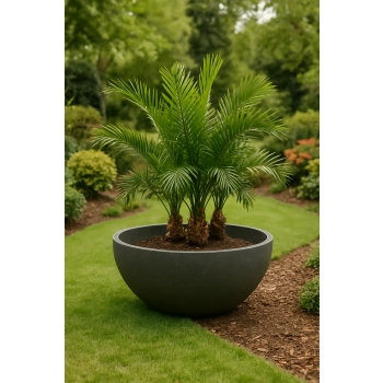 Donica betonowa VIENNA S Ø260 × 600 mm – Talerz Betonowy